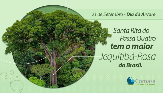 O maior jequitibá-rosa do Brasil, Santa Rita do Passa Quatro é rico em biomas