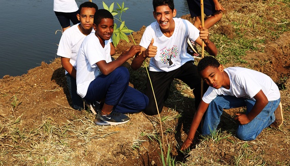 COMASA realiza plantio em comemoração ao Dia Mundial da Árvore